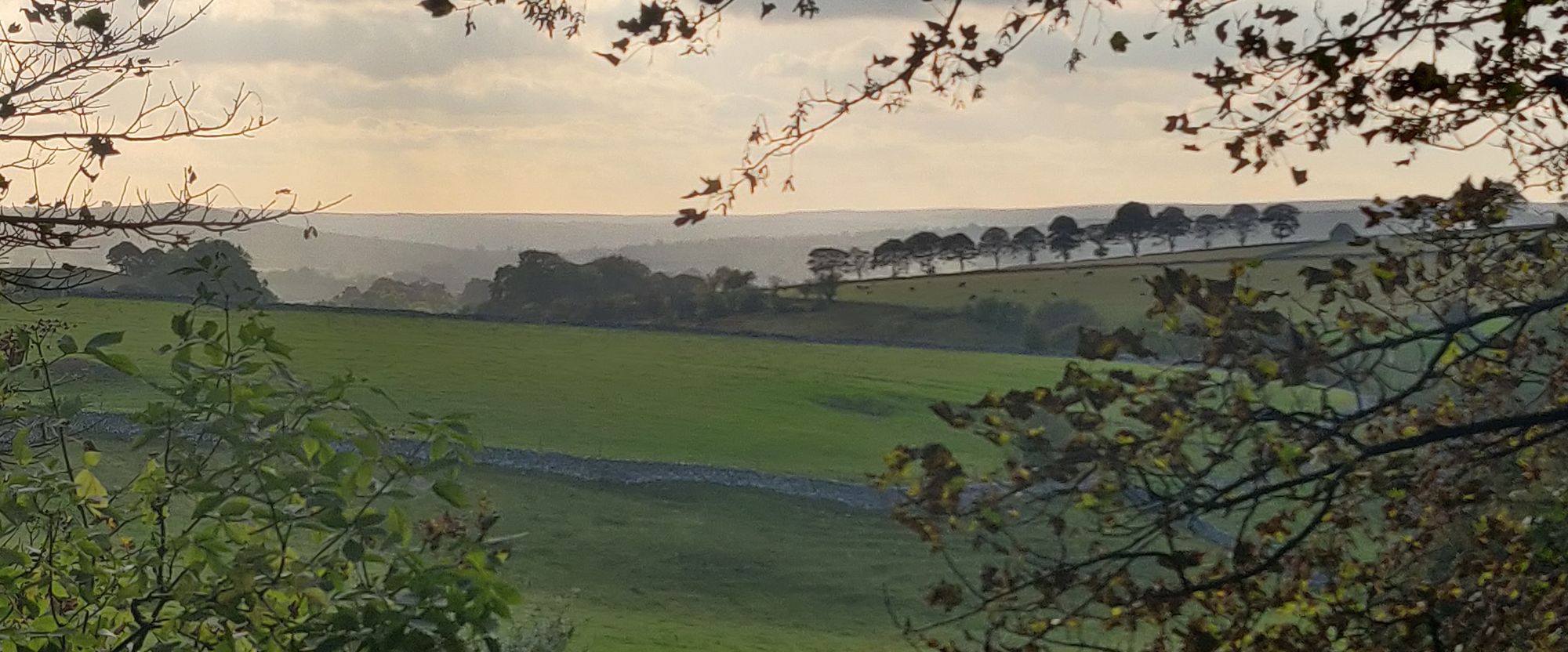 The hills and trees of the Derbyshire Dales